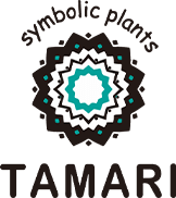 COLUMN | TAMARI